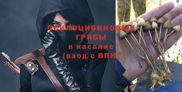 гашиш Каменка