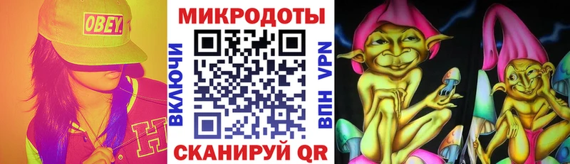 Купить закладки  Каменногорск  Галлюциногенные грибы MAGIC MUSHROOMS 