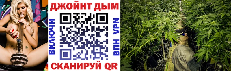 Купить закладки  Каменногорск  МАРИХУАНА Amnesia 